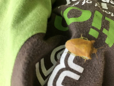 写真 2017-06-04 14 45 20.jpg