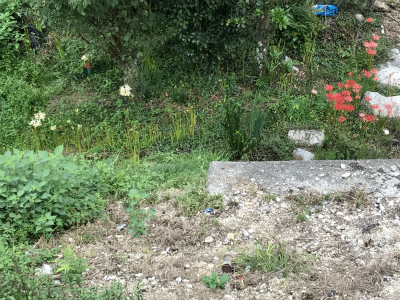 写真 2017-09-22 12 33 20 (1).jpg