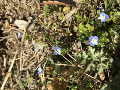 写真 2019-03-09 14 12 36.jpg