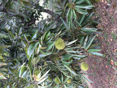 2016-09-21 14.18.31.jpg