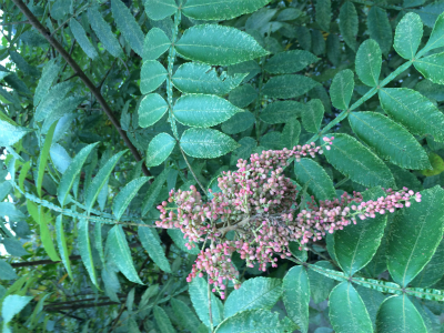 2016-09-21 14.19.49.jpg