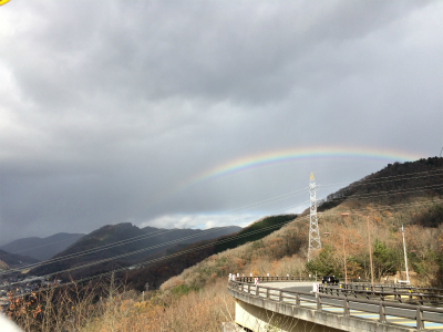 2016-12-11 13.56.34.jpg